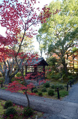 秋の清涼寺　紅葉の境内　京都市右京区嵯峨