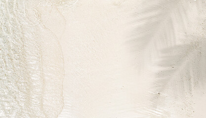 Palm leaf shadow on abstract untouched sand beach background with sunlight in transparent water...