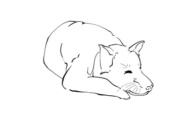 Illustration Hand drawn, Sleeping Dog Cute, Outline On white background .