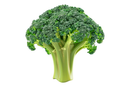 Broccoli isolated on transparent background