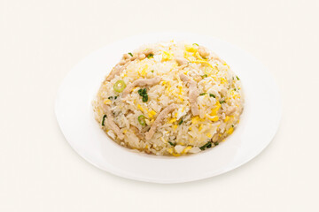 Shredded Pork Fried Rice served in plate isolated on grey background side view of hong kong food