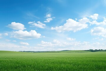 Obraz premium Field sky grassland landscape.