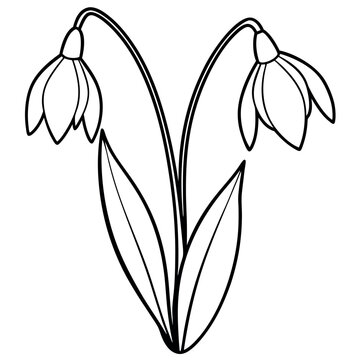 black and white snowdrop flowers clip art preview