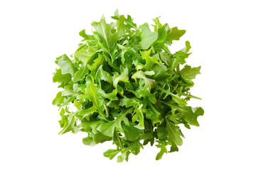 Obraz premium Green salad with leaves isolated on transparent background