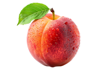 A closeup view of a ripe, fresh peach or nectarine covered in dew drops, surrounded by green leaves isolated on white background.