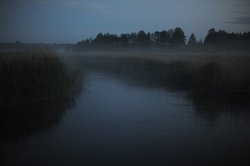 Misty evening with fog over Czarna Hancza river with trees and fog in summer in Poland, Europe