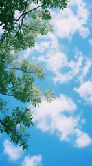 Summer sky tree outdoors nature.