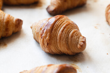 A cooked golden color of traditional French croissants in a baking tray. It's a viennoiserie made with a yeast leavened dough that has been laminated with butter in multiple layers.