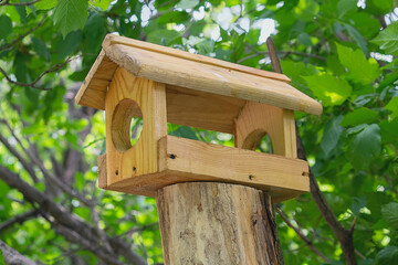 Wooden birdhouse for birds on a tree in the park