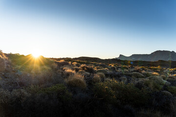 Teide national park in Tenerife