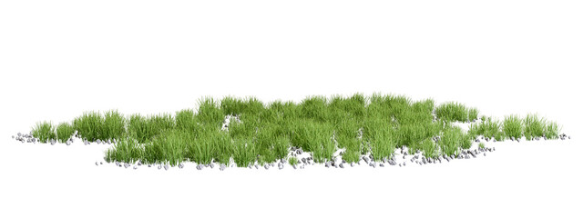 Grass and rock patch, lawn isolated on transparent background