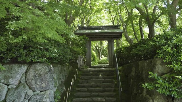 MOA美術館の唐門の風景動画