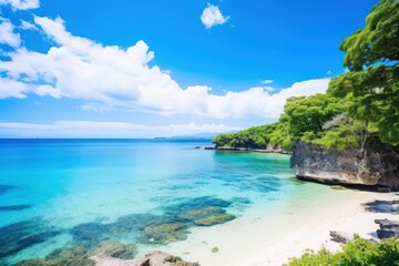 Fototapeta premium Landscape outdoors nature beach.