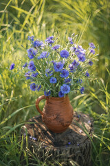 Photo of a bouquet of blue cornflowers in a vase.