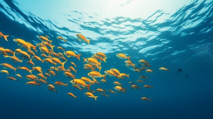 School of vibrant yellow fish swimming in clear blue ocean water, bathed in sunlight. Concepts. marine life, coral reef, underwater, tropical, nature, environment, diving, snorkeling.
