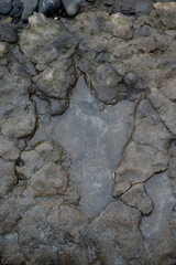 Dinosaur Footprint - Isle of Skye