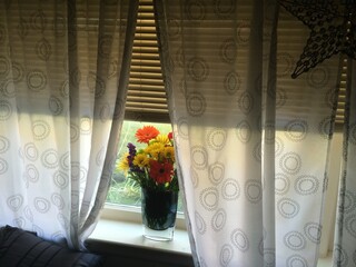 flowers in a window