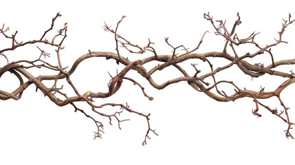 Twisted Brown Vines