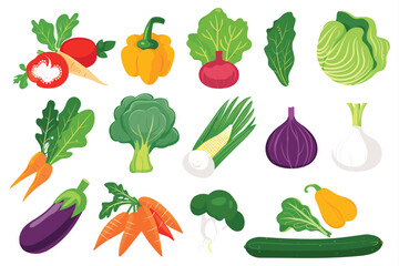 Seamless pattern of fresh vegetables. Collection of hand drawn vegetable illustrations isolated on white background. Set of various kinds of vegetable, isolated on a white background.