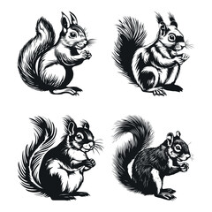 Squirrel Clipart Black Color Vector