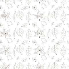 Seamless vector pattern. Autumn leaves. Pattern without fill color on white background. Doodle style. Hand drawing. 