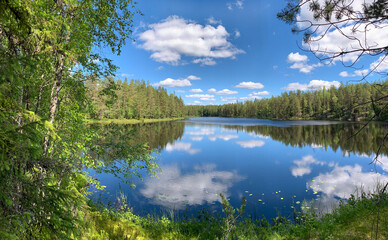 Fototapeta premium Finnish forest blue lake summer wilderness landscape