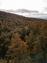 Obraz premium Beautiful Autumn Colours from above