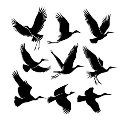 Flying Birds Silhouette Vector illustration