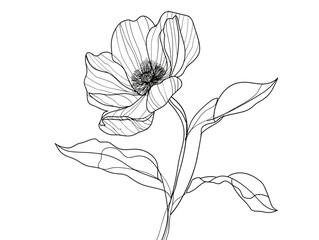 Unfolding Petals: A Journey of Floral Elegance in the Language of a Single Line