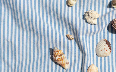 Different kinds of seashells on the blue striped fabric background top view. Copy space