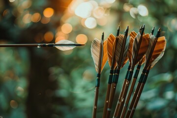 Personal or professional goals, achievements, growth, and development, Arrows to symbolize progress