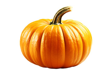 Yellow Ripe halloween pumpkin on transparent background 