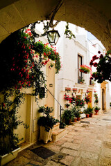 La città bianca di Cisternino, Brindisi, Puglia. Italia