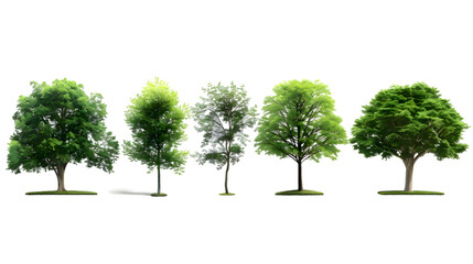Obraz premium Collection of Trees isolated on transparent background
