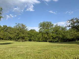 Green meadow in park with trees and blue sky