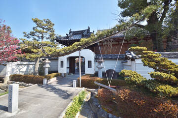 法住寺の松と竜宮門