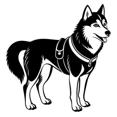 Siberian husky dog silhouette full body standing  for graphic design vector and illustration on white Background