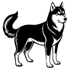 Siberian husky dog silhouette full body standing  for graphic design vector and illustration on white Background