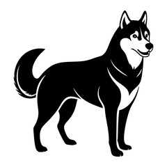 Siberian husky dog silhouette full body standing  for graphic design vector and illustration on white Background