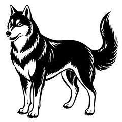 Siberian husky dog silhouette full body standing  for graphic design vector and illustration on white Background