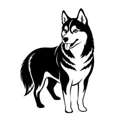 Siberian husky dog silhouette full body standing  for graphic design vector and illustration on white Background