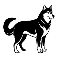 Siberian husky dog silhouette full body standing  for graphic design vector and illustration on white Background
