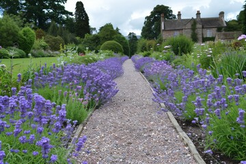Pathway through a lavender field leading to a distant house creating a fragrant and picturesque rural scene