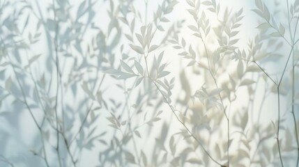 Shadows of leaves on a white background, creating a minimalist and tranquil effect. Nature and simplicity concept.