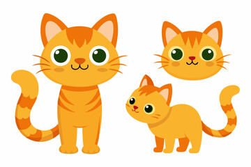 Three orange cats stand side by side on white background
