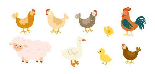 Set of funny farm animals. Cute characters on white background. Sheep, rooster, chicken, duck, hen, chick, duckling. Colorful vector illustration in flat style.