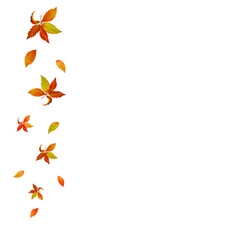 Watercolor leafs frame card of orange red gold autumn leaves. White transparent background. Copy space