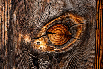 Natural wood knot, details of rings on brown burnt wood texture. Abstract background.