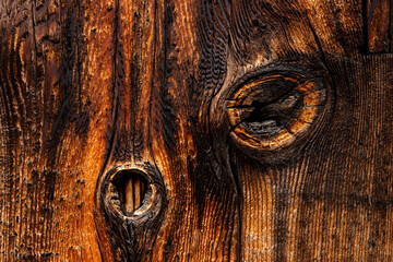 Natural wood knots with details of cracks and rings. Brown burnt wood texture. Abstract background.