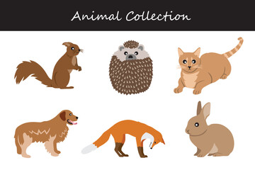 Animals collection. Flat style vector illustration.